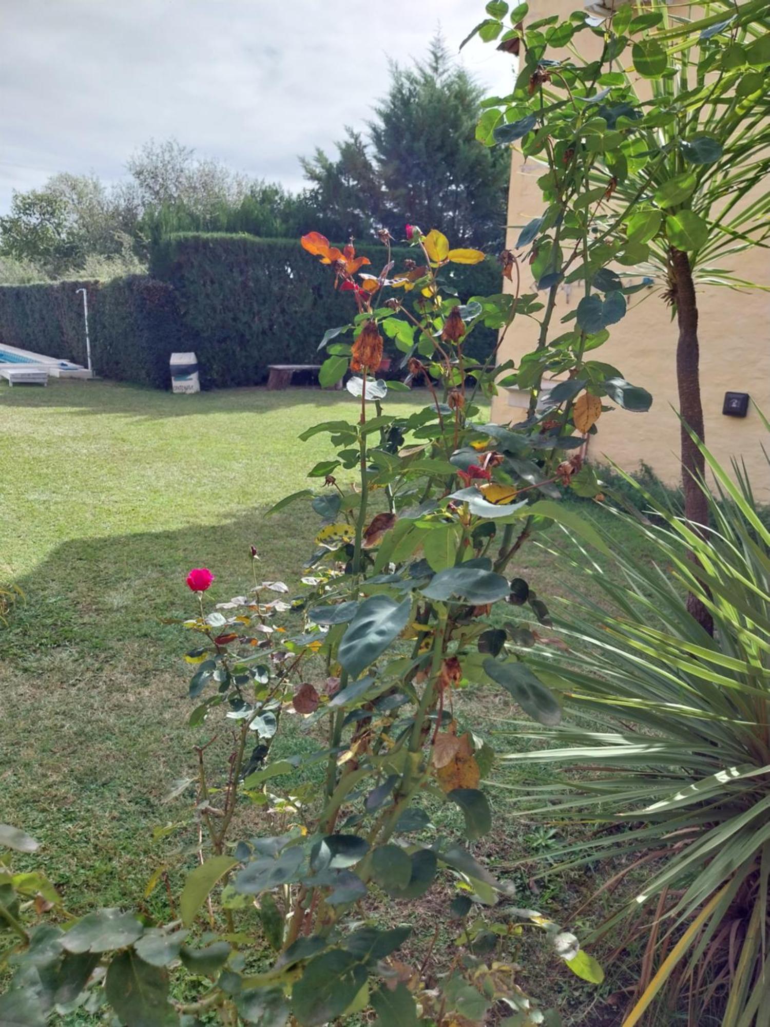 Complejo Cantonavi ノノ エクステリア 写真